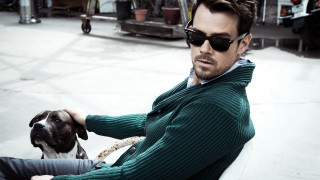 Man dog sunglasses green sweater - his lap free wallpaper for desktop