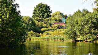 Lake house trees people ecological - a hill in the background and trees free wallpaper