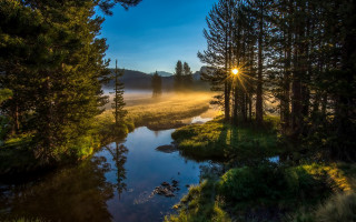 River fog sunset trees lake - ansel adams free wallpaper for desktop