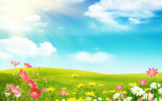 Flower field sky sunshine butterfly - the cloud above free wallpaper for desktop