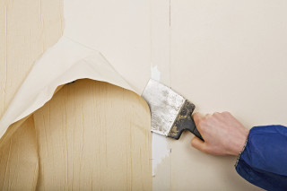 Person paintbrush painting wall white - deconstructivism free wallpaper