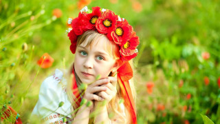 Girl red flower hair field - a field of flowers free wallpaper for desktop