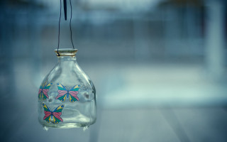 Glass bottle butterfly hanging window - a wire free wallpaper for desktop