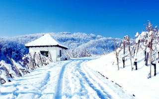 Snowy road white building blue - free winter wallpaper