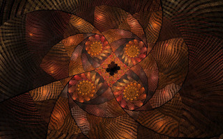 Flower leaves petals black background - a picture of a flower free wallpaper for desktop