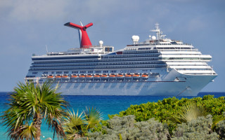 Cruise ship palm tree sky - top of its free wallpaper