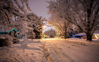 Snowy street light tree house - a tree in the background free wallpaper