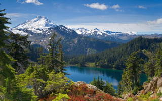 Mountain lake forest flower horizon 2 - mountain in the background free wallpaper