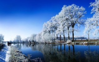 Winter forest river bench snow - tree and snow covered ground free wallpaper