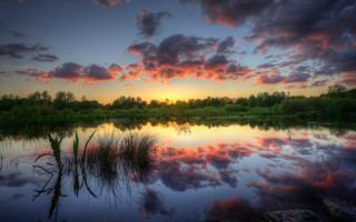 Sunset lake clouds grass trees - a sunset over a lake free wallpaper