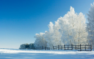 Fence snow trees field blue - free winter wallpaper