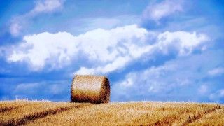 Haybail field blue sky clouds - photorealistic imagery free wallpaper