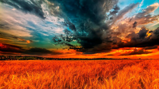Grass sky clouds sunset autumn - a sky free wallpaper for desktop