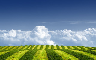Grass clouds horizon field mountain - white cloud above free wallpaper