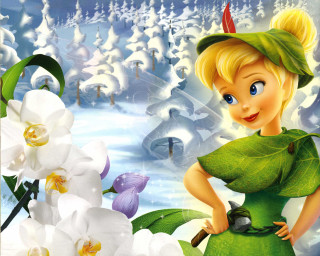 Tinkerbell flowers snow forest cartoon - the background and a snow free wallpaper