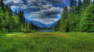 Grassy lake mountains clouds nature - a lake in the middle of it free wallpaper for desktop