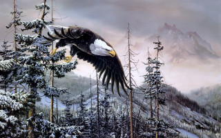 Bald eagle snowy forest mountains - a bald eagle free wallpaper