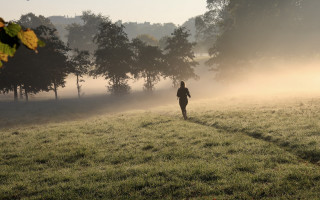 Foggy morning field forest city - the background and a person free wallpaper