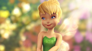 Cartoon character green dress butterfly - a green dress free wallpaper