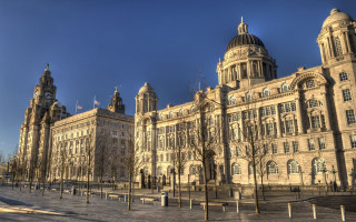 Large building clock tower trees - top of its free wallpaper