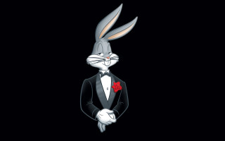 Rabbit tuxedo rose formal unreal - his lap free wallpaper for desktop