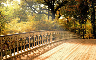 Autumn wooden bridge leaves sunbeam - a sunbeam free wallpaper