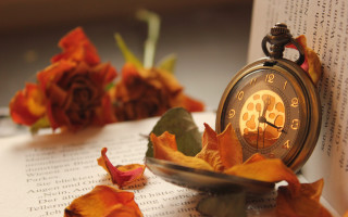 Clock book flowers leaves steampunk - steampunk free wallpaper
