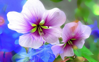 Purple flowers green leaves blue - two purple flower free wallpaper