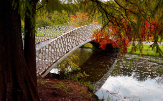 Bridge river park autumn leaves - a few leaf free wallpaper for desktop