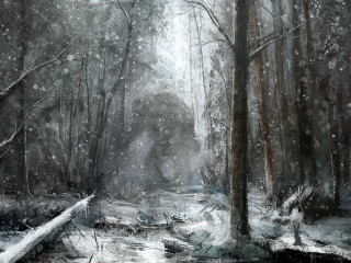 Snowy forest stream night stars - a stream free wallpaper