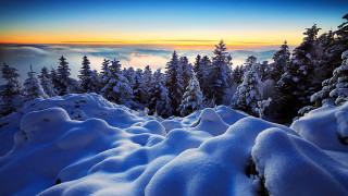 Snowy mountain forest sunset ocean - sky free wallpaper