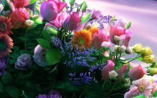 Flowers vase table pink background - a blue vase free wallpaper