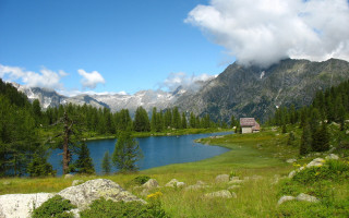 Small cabin lake mountains pine - a small cabin free wallpaper