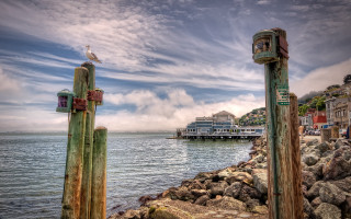 Bird pole water pier buildings - a cloudy sky free wallpaper for desktop