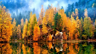 Lake trees fog autumn mountain - a mountain in the distance free wallpaper