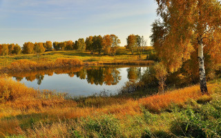 Lake fall trees yellow foliage - arkhip kuindzhi free wallpaper