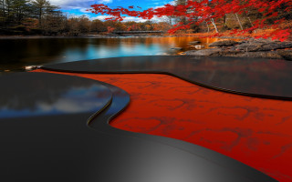 Red black table lake trees - red leaf free wallpaper