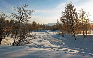 Snowy road trees clouds winter - a snowy road free wallpaper
