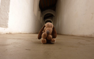 Stuffed animal liminal hallway beach - narrow free wallpaper