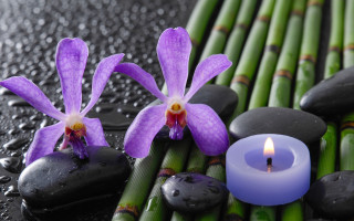 Candle flowers rocks bamboo water - bracha l. ettinger free wallpaper