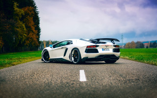 White sports car tiltshift nature - grass and trees free wallpaper