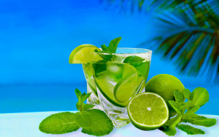 Limeade glass mint palm blue - a table next free wallpaper