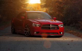 Red car sunset trees cobra - golden hour free wallpaper