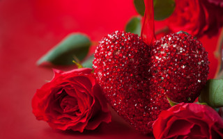 Red hearts roses flower bouquet - two rose free wallpaper