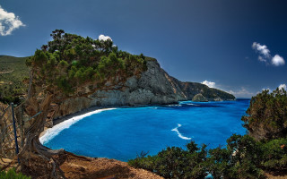 Blue ocean cliff tree shore - a clear blue sky free wallpaper for desktop