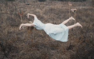 Woman white dress field giraffes - brooke shaden free wallpaper