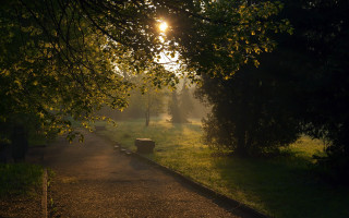 Park path trashcan sunshine trees - free light wallpaper