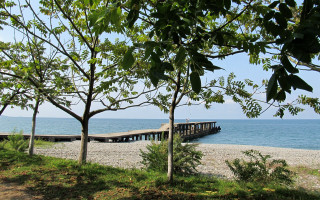 Pier beach ocean trees scenery - auseklis ozol free wallpaper