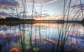 Lake lily pads sunset clouds - the water and a sunset in the background free wallpaper