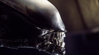 Alien head closeup black background - alien free wallpaper